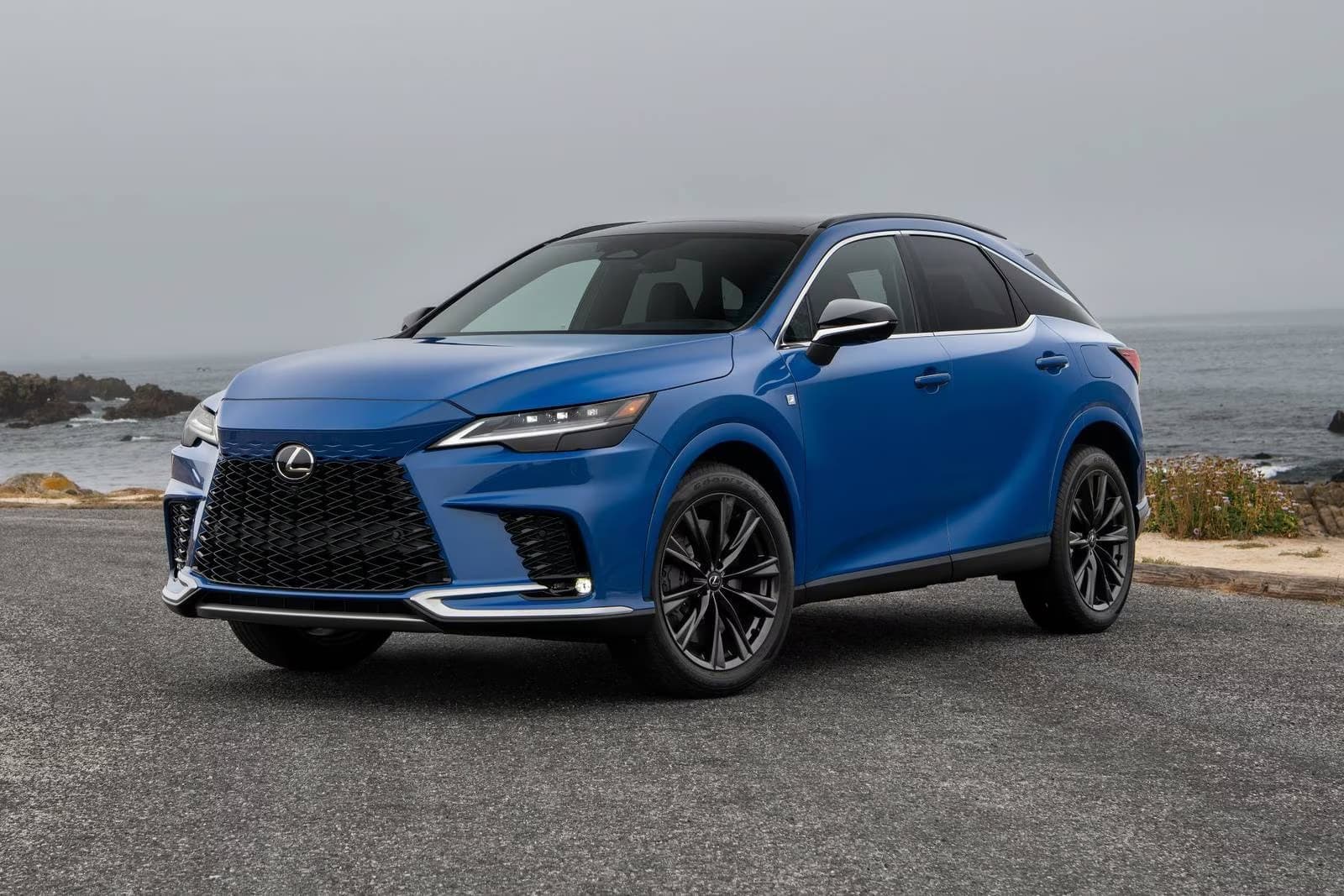 2025 Lexus RX 350h F SPORT